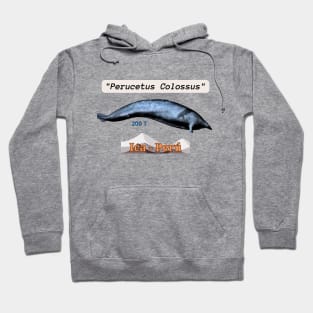 Perucetus colossus Hoodie